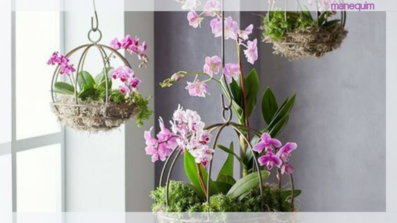 Flores